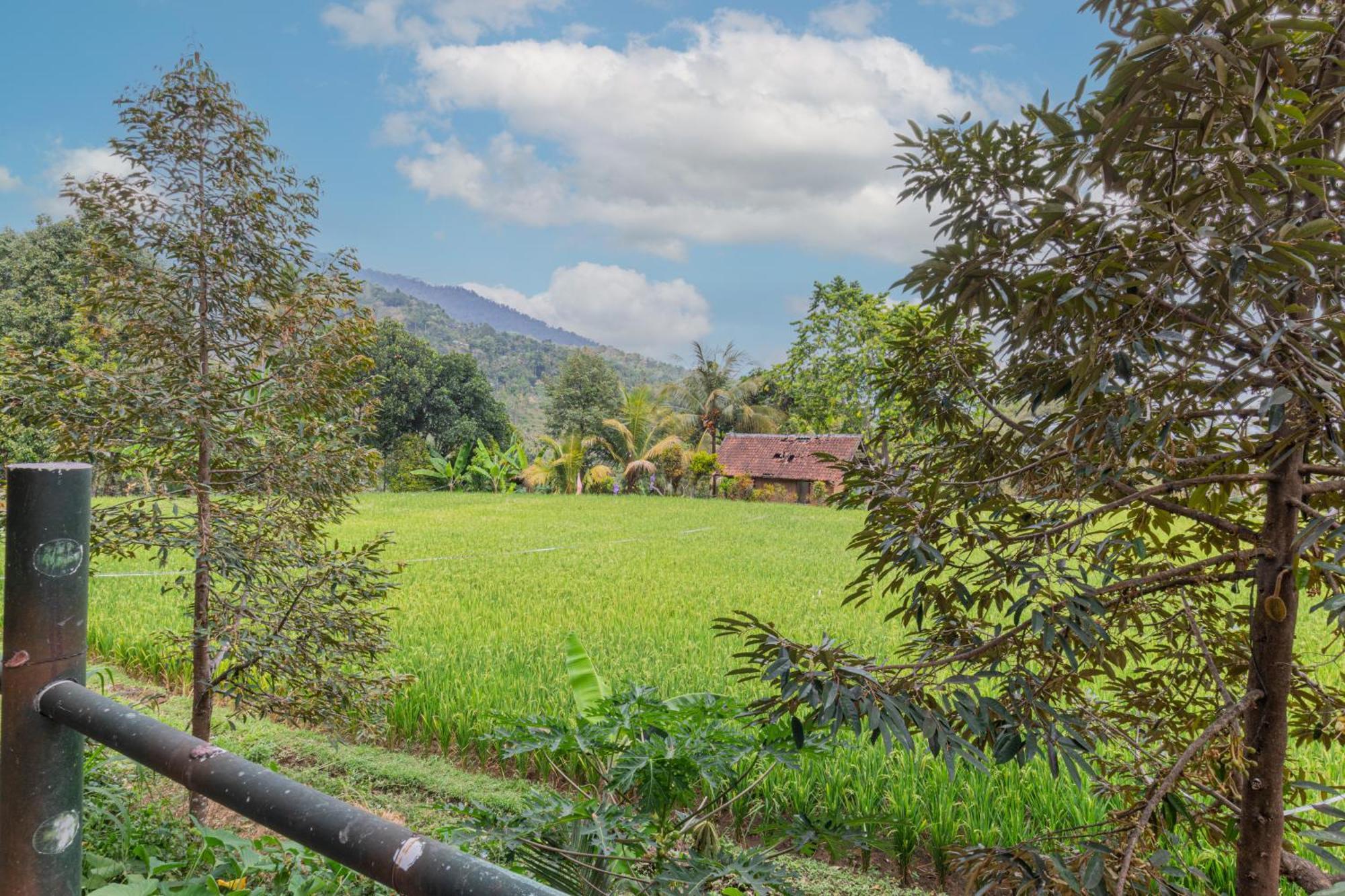 Mandhasativa * Singaraja (Bali)