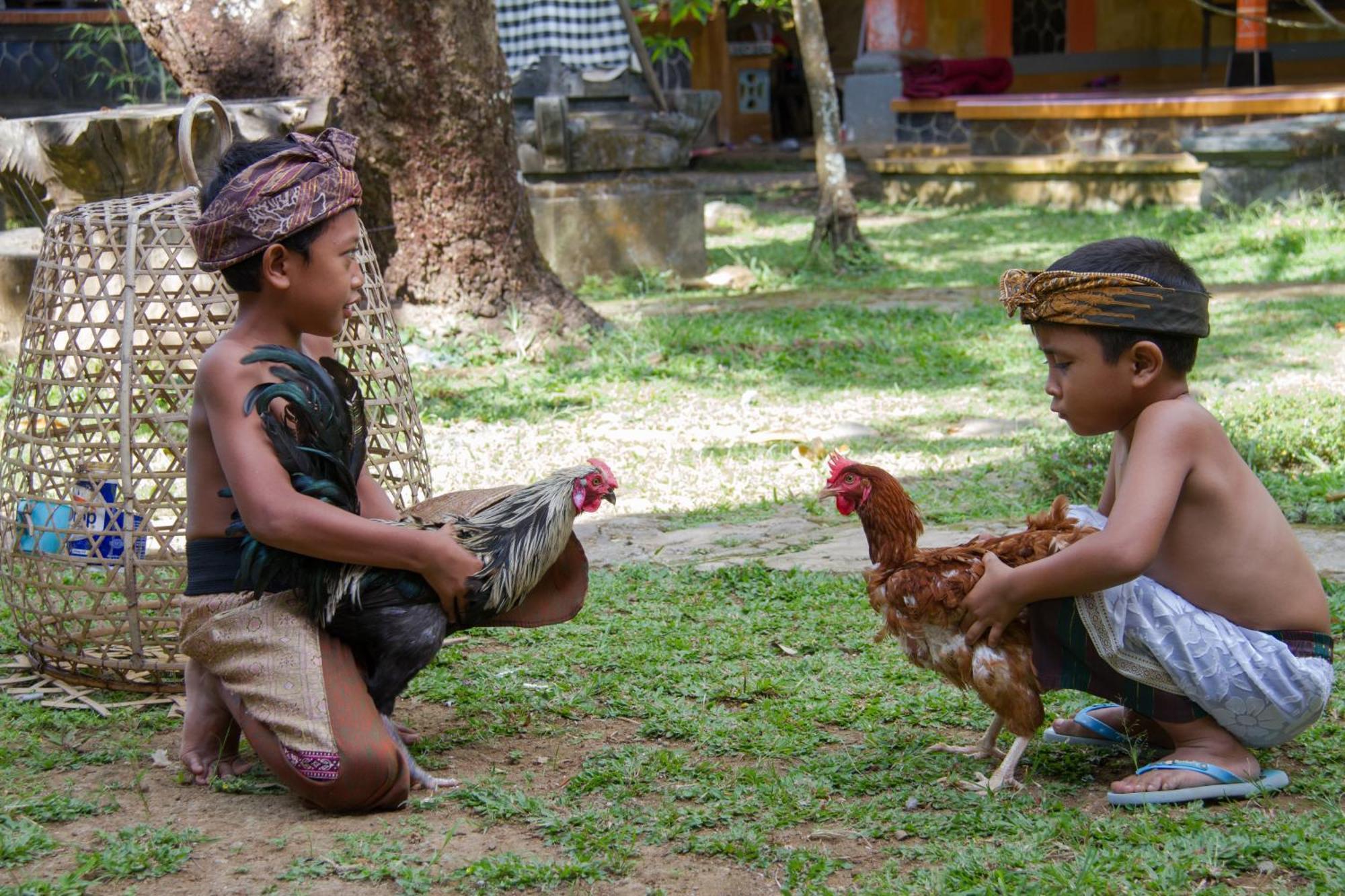 Homestay Mandhasativa Singaraja (Bali)